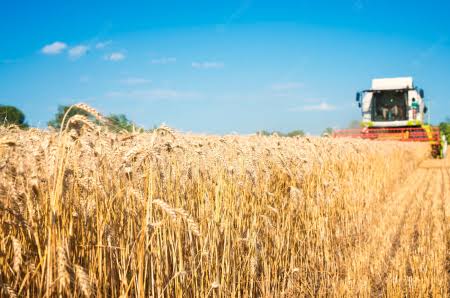 Un agricultor a recunoscut la DNA că a încasat ilegal fonduri europene
